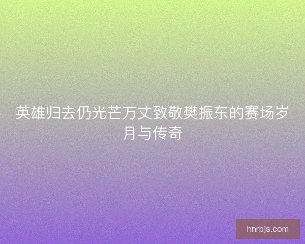英雄归去仍光芒万丈致敬樊振东的赛场岁月与传奇